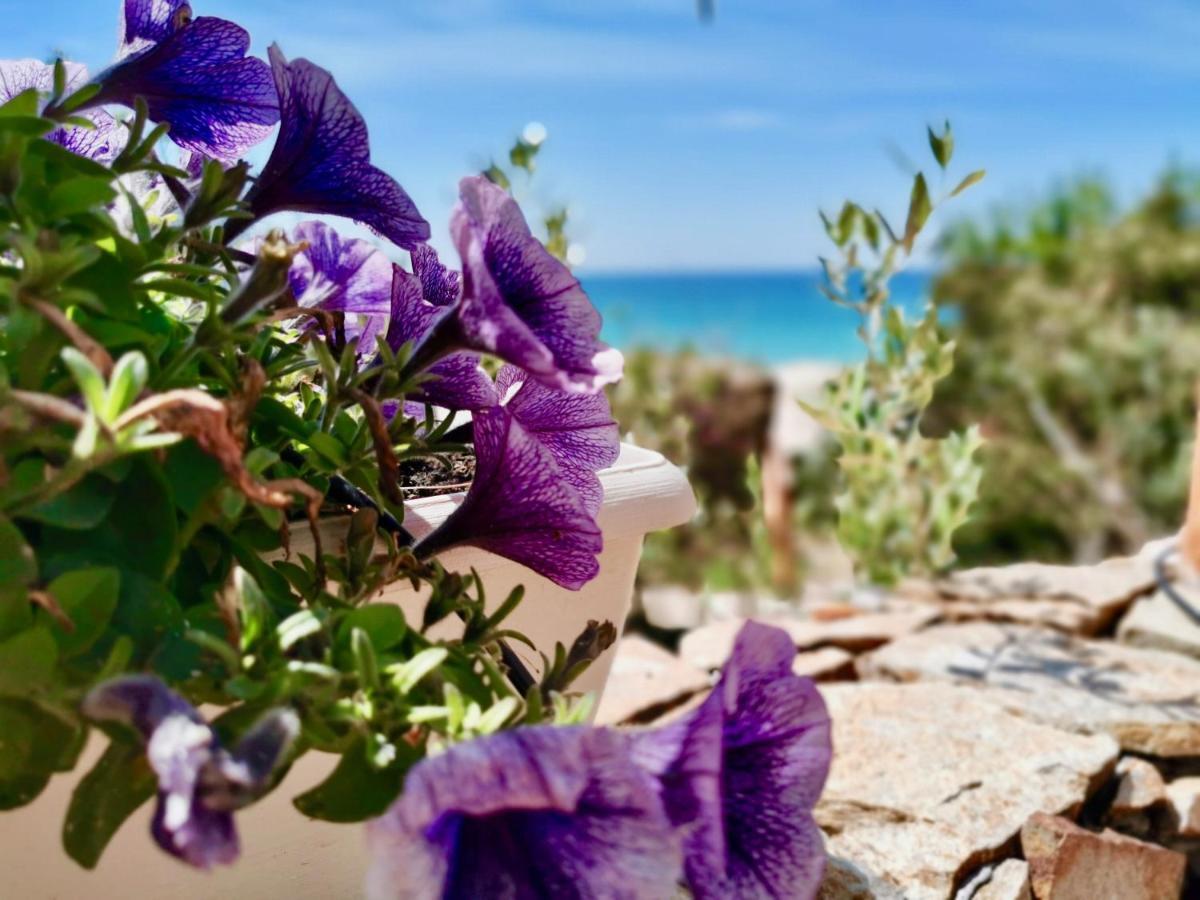 Apartamento Beachfront House Geremeas Sardegna Exterior foto